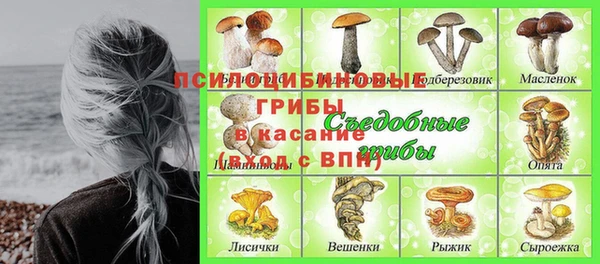 героин Алзамай