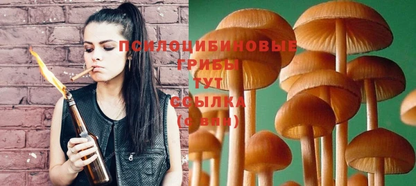 ешки Алексеевка