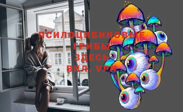 ешки Алексеевка