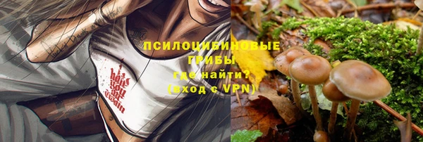 героин Алзамай