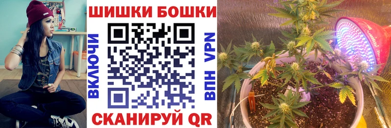 Канабис план  Снежногорск 